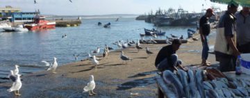 essaouira-port1